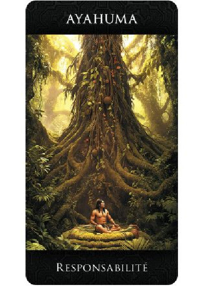 Voyage chamanique Cartes Oracles