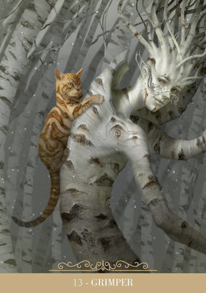 L’Oracle des Chats Fantasy – Oracle divinatoire