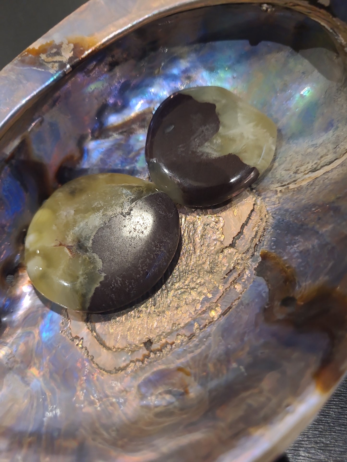 Septaria – Pierre plate