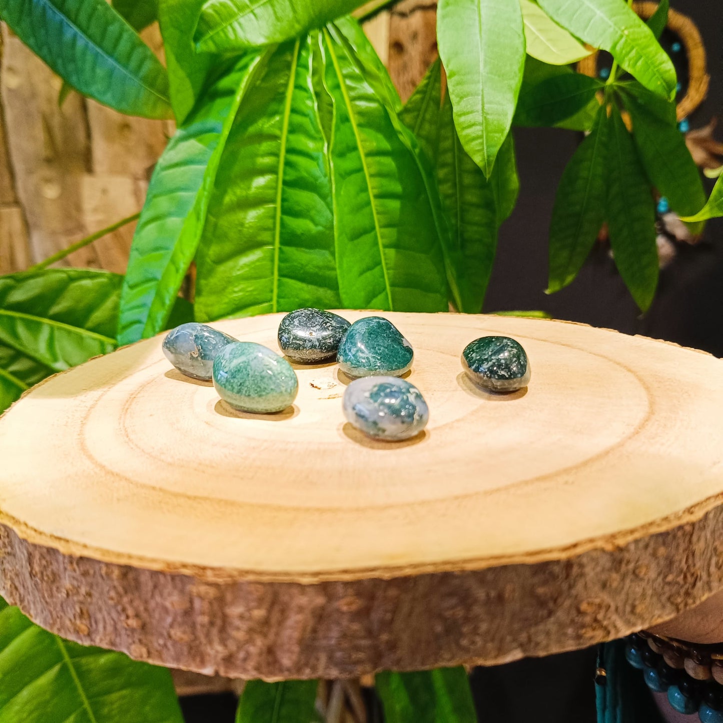 L'agate Mousse - Pierre roulée