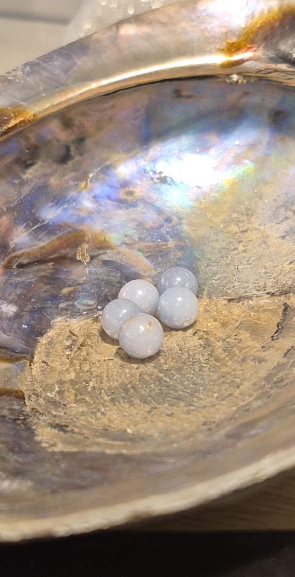 Fil de perles - Angélite bleue A+