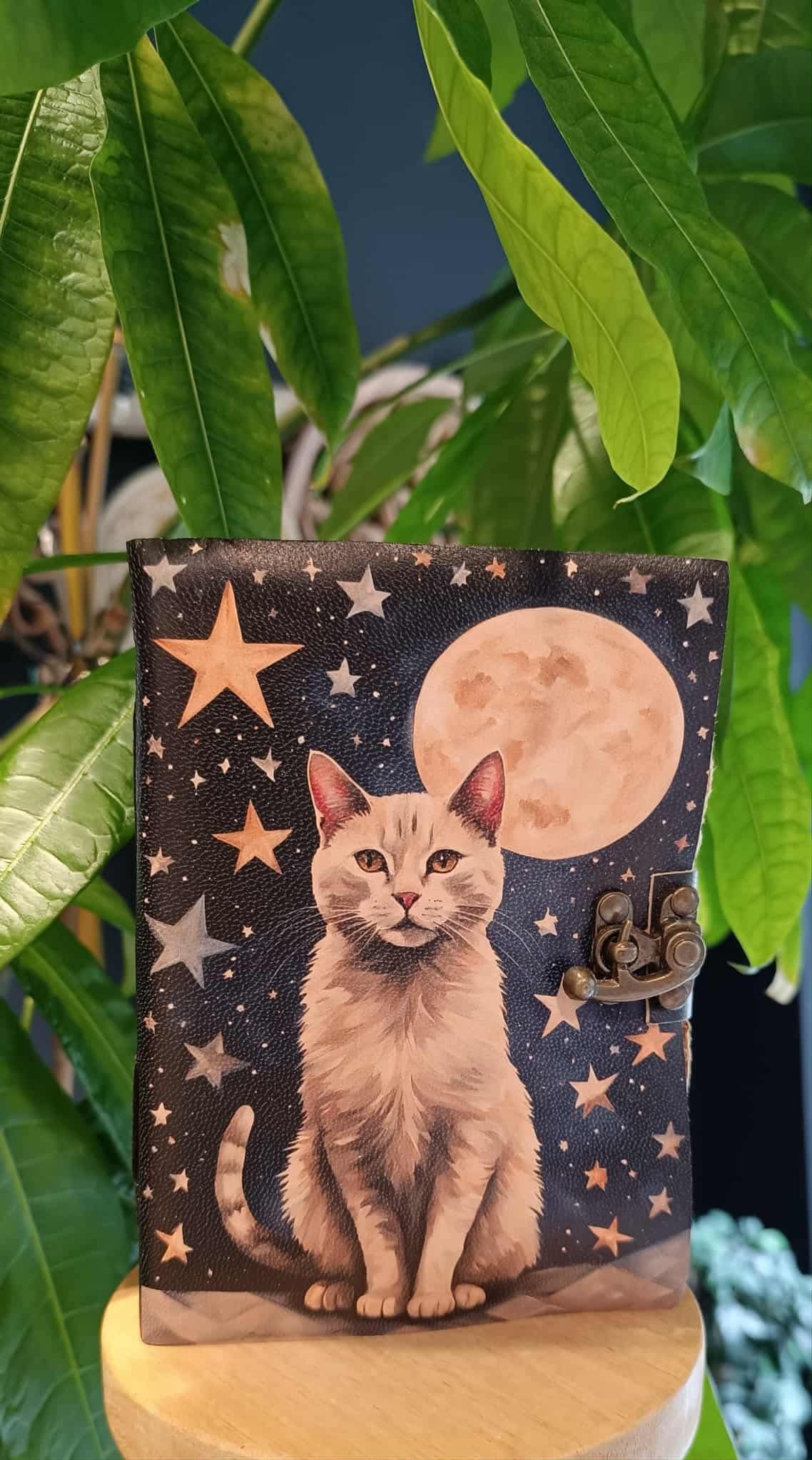 Chat Lunaire – Grimoire ésotérique