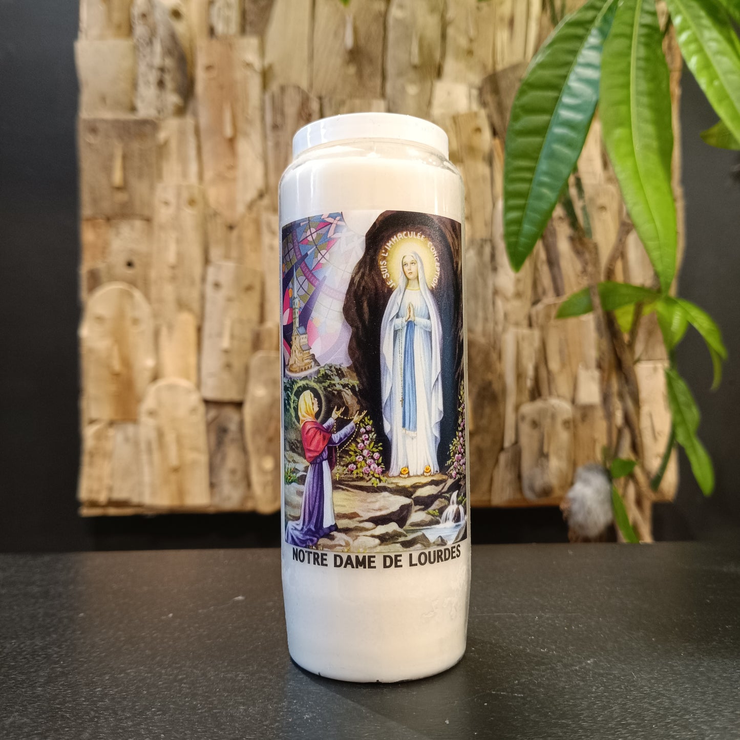 Neuvaine Notre Dame de Lourdes