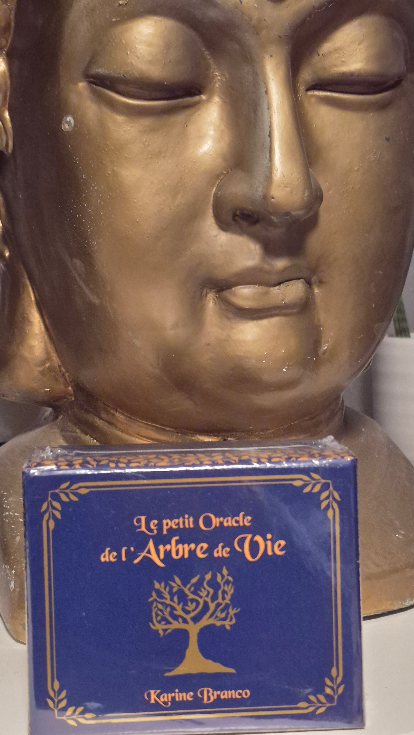 Le Petit Oracle de l’Arbre de Vie – Karine Branco