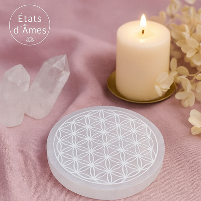 Fleur de Vie en Sélénite – Plateau de rechargement