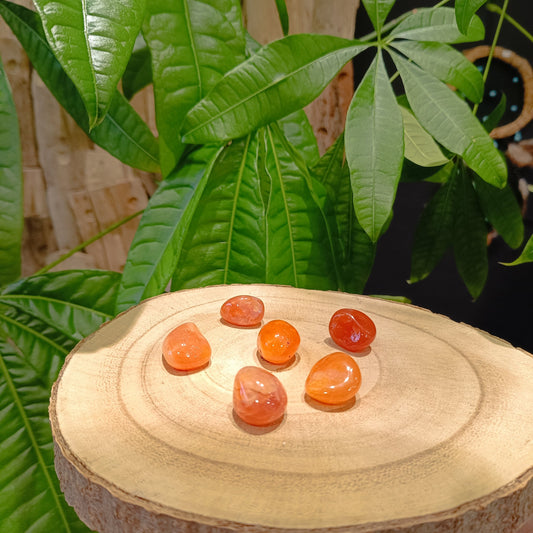 Agate de Feu – Pierre roulée