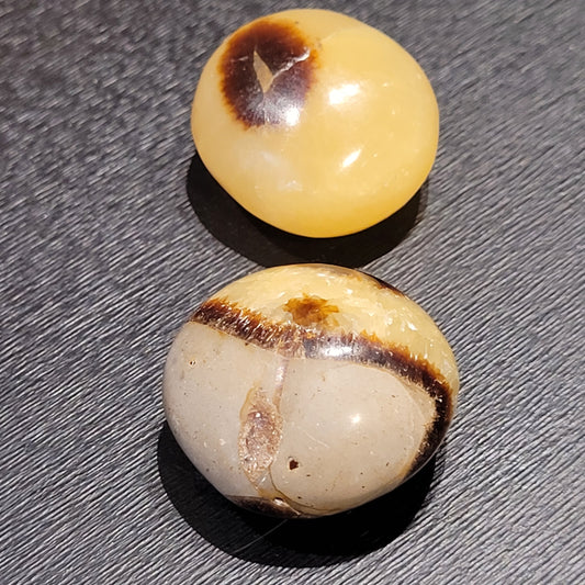 Septaria – Pierre roulée