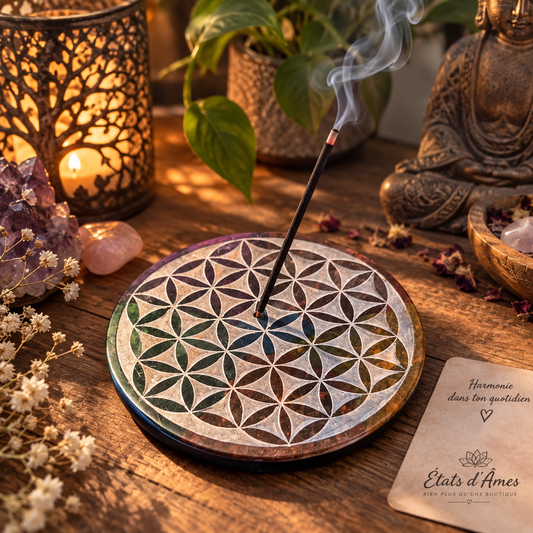 Fleur de Vie arc-en-ciel – Porte-encens décoratif