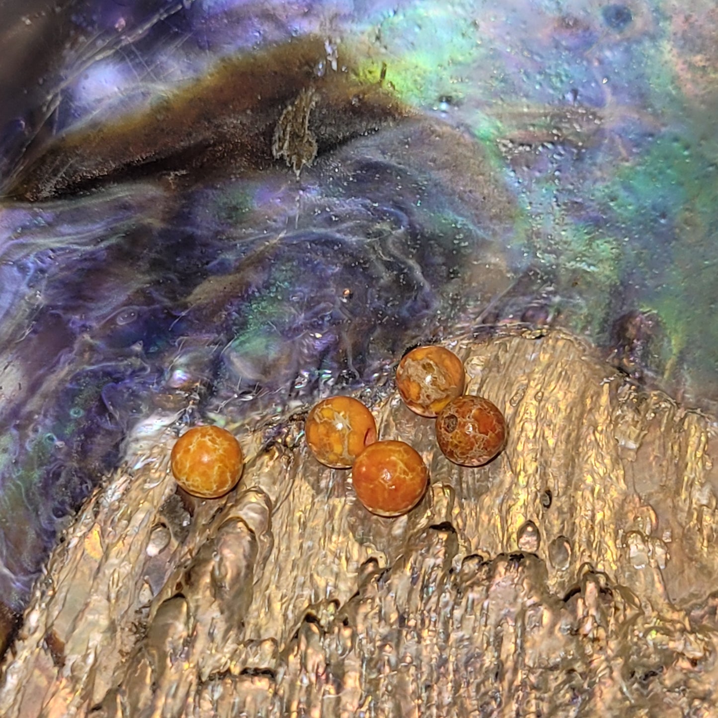 Fil de perles en Jaspe Impérial Orange Feu