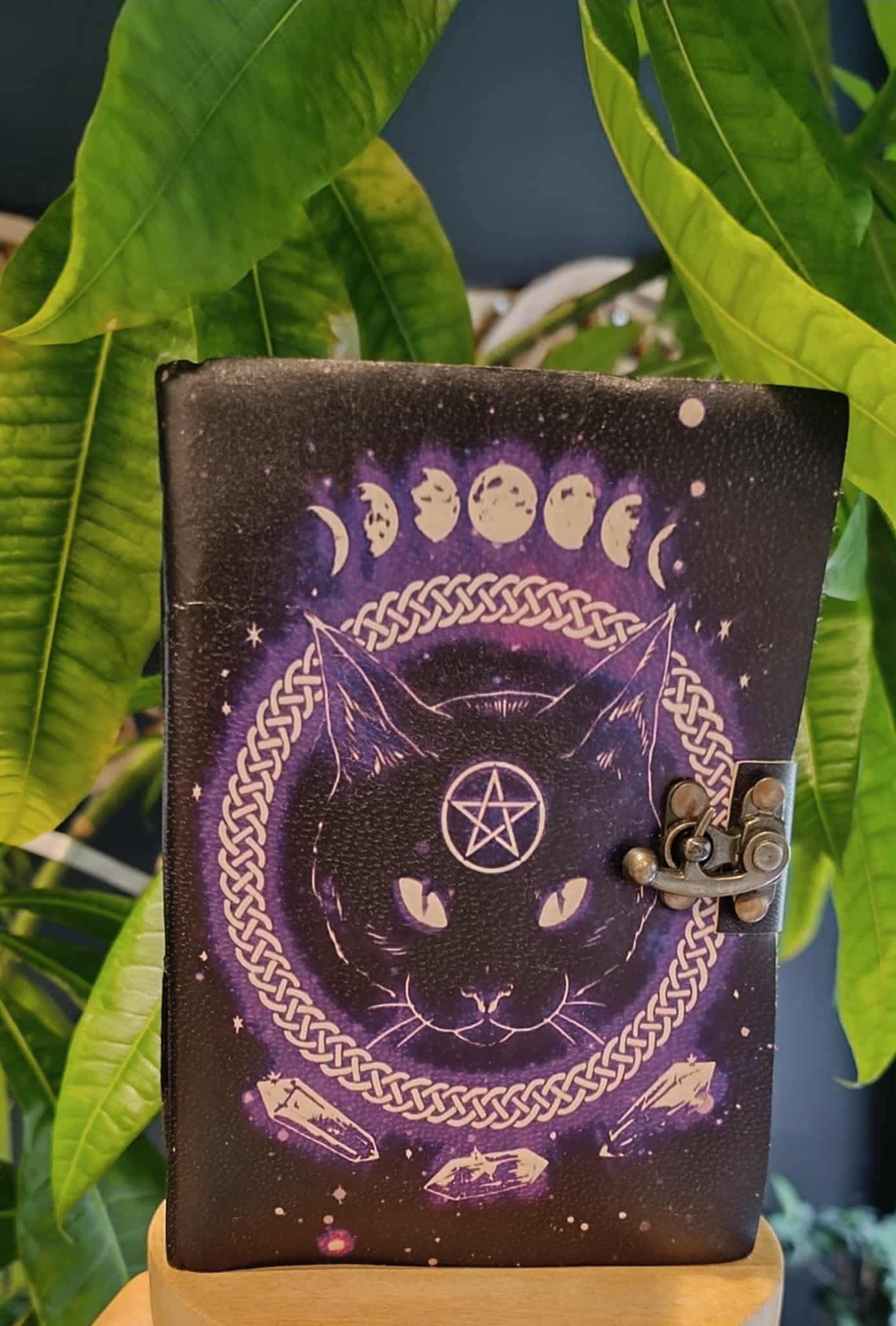 Chat Mystique – Grimoire ésotérique