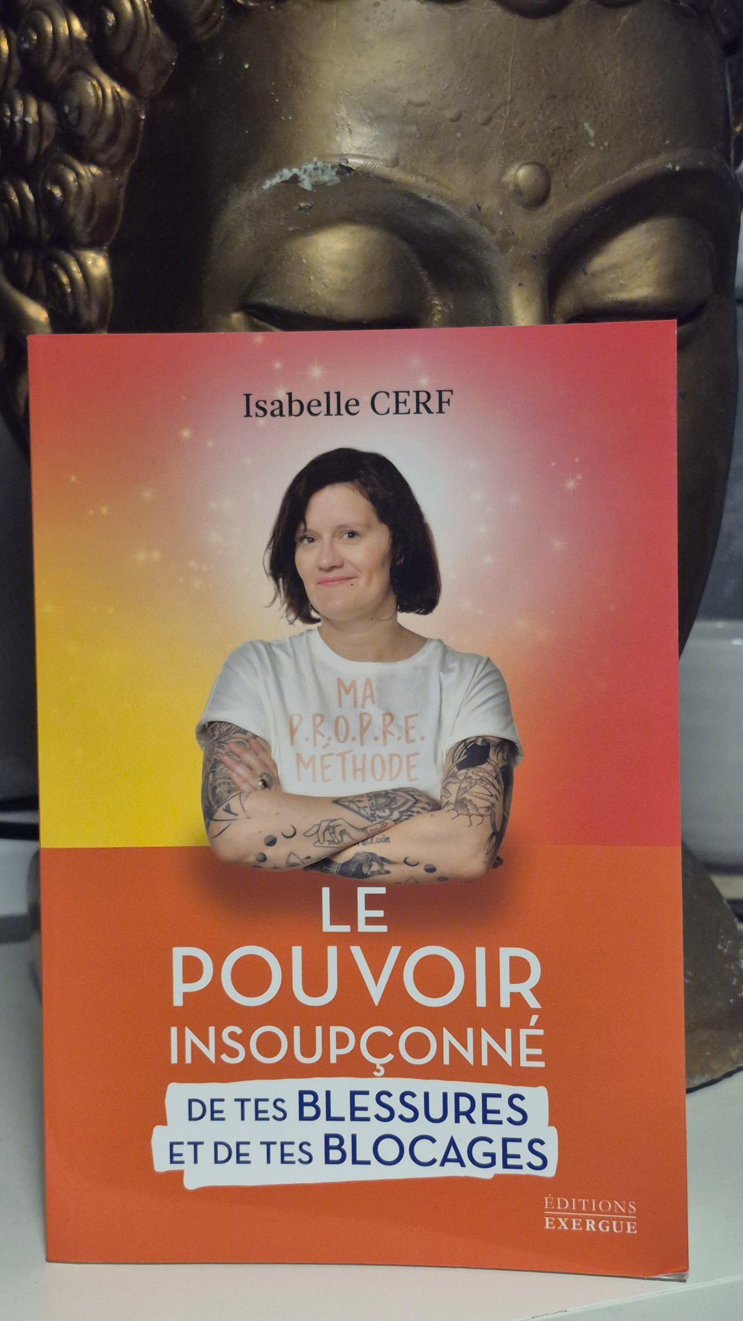 Le Pouvoir Insoupçonné de Tes Blessures et de Tes Blocages

Isabelle Cerf – Éditions Exergue